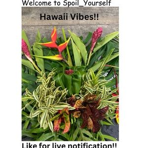 🌺🌺Come hang out!! 🌺🌺